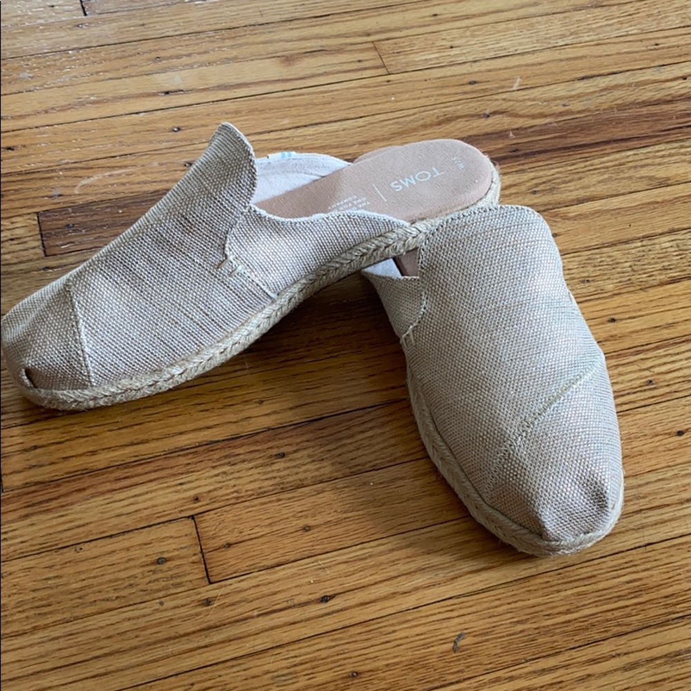 TOMS - Nova
